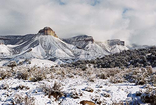 Colorado Winter photo