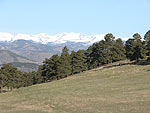 Colorado Spring Photo