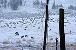 Colorado Winter photos
